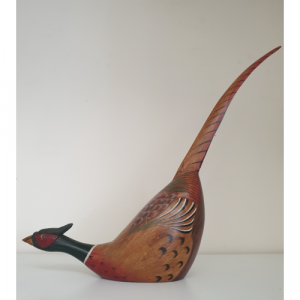 Wood Pheasant with Long Tail