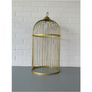 Gold Hanging Cage