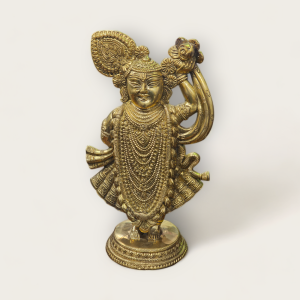 Brass Shrinath