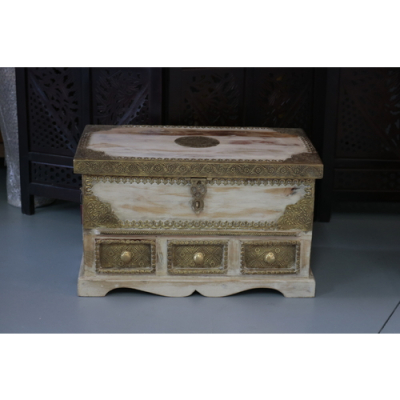 White Washed Trunk